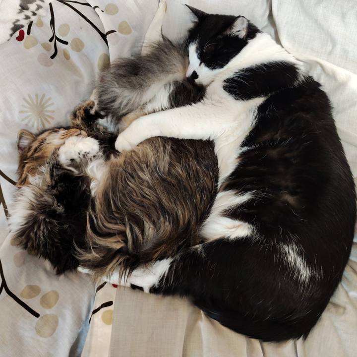 A4f6a4ab d3bd 4ff6 a49d 76df4ca3f94a 1767076862251