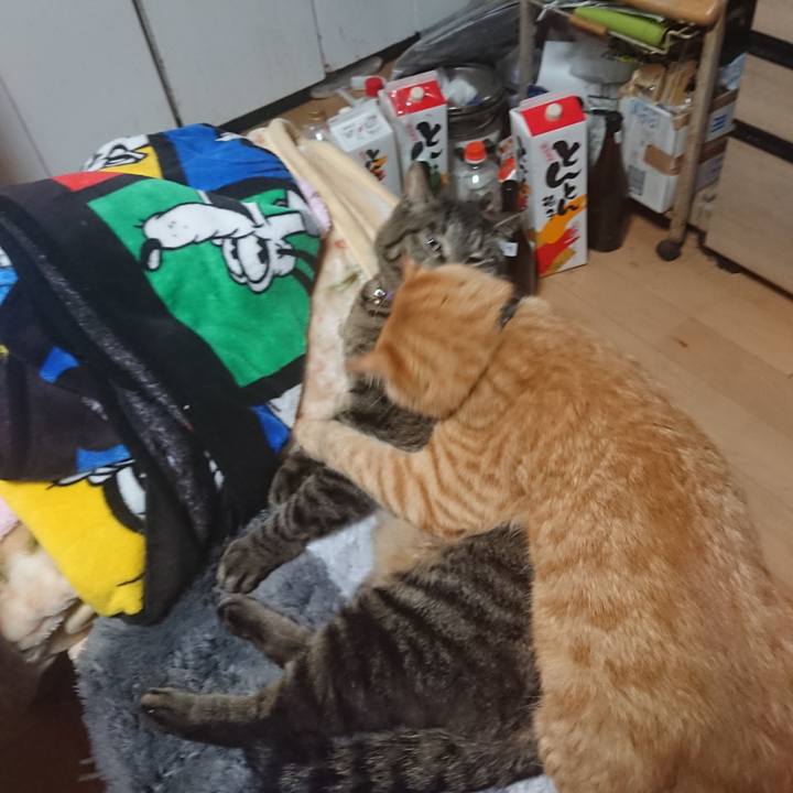 A4f6ae52 ca8e 4739 b902 fed78cc76077 1652574162172