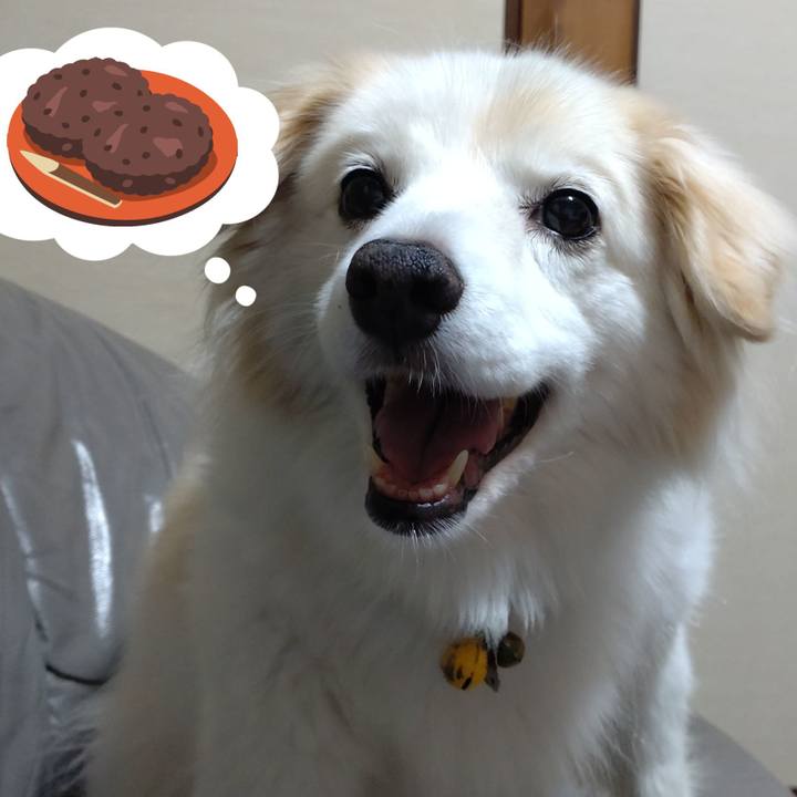 A4f6bfea 7eb8 4046 8a83 fbefdf6c75f4 1657185510477