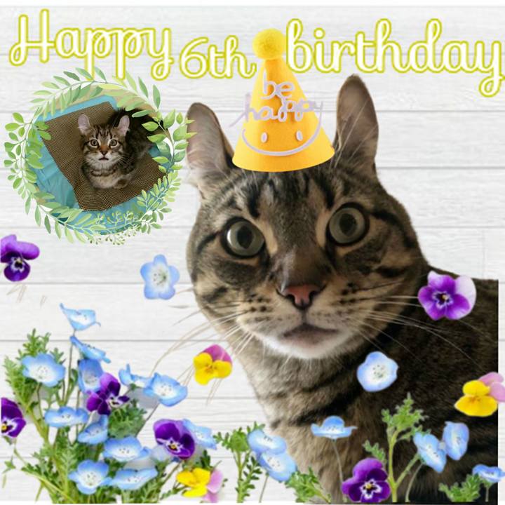 A4f6de93 a64f 4318 8947 f691f93e226b 1676003502680