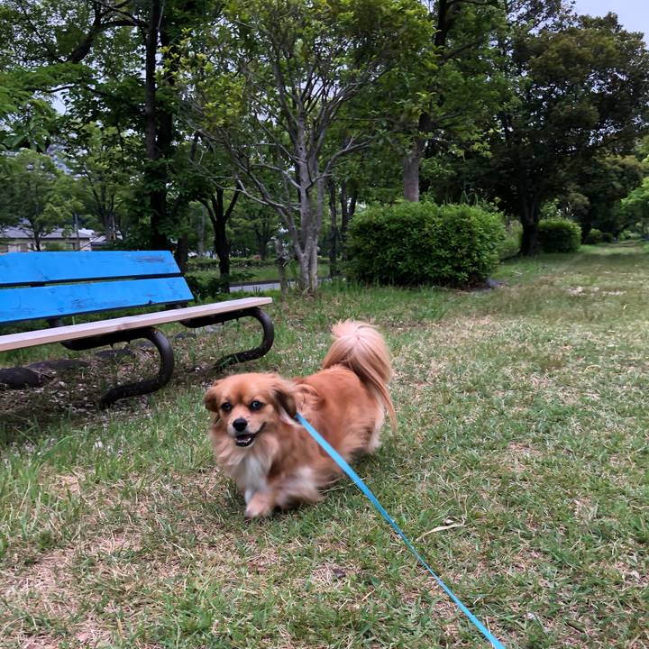 A4f6e658 04b9 422a 9e6d d2509c0de81e 1559856136460