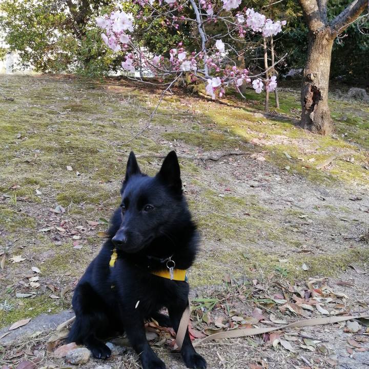 A4f6fbbb ad78 40ca 9866 b8746a38620b 1585092215180