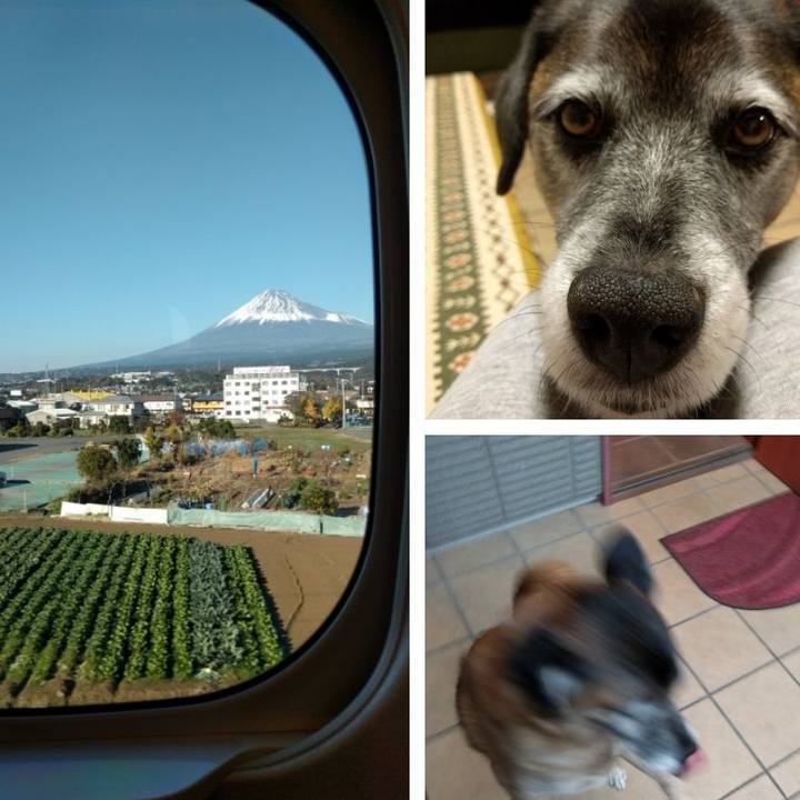 A4f6ff8d 3b01 414d 9756 f6ced7b3e042 1512287786302