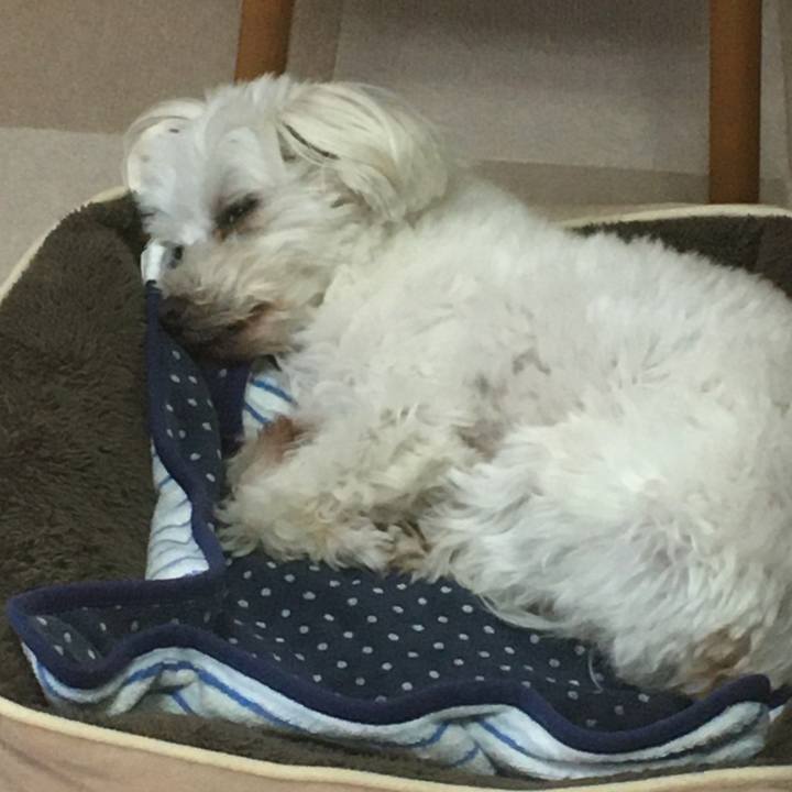 A4f74a81 9227 4a25 9675 64c94aba634c 1620364841468