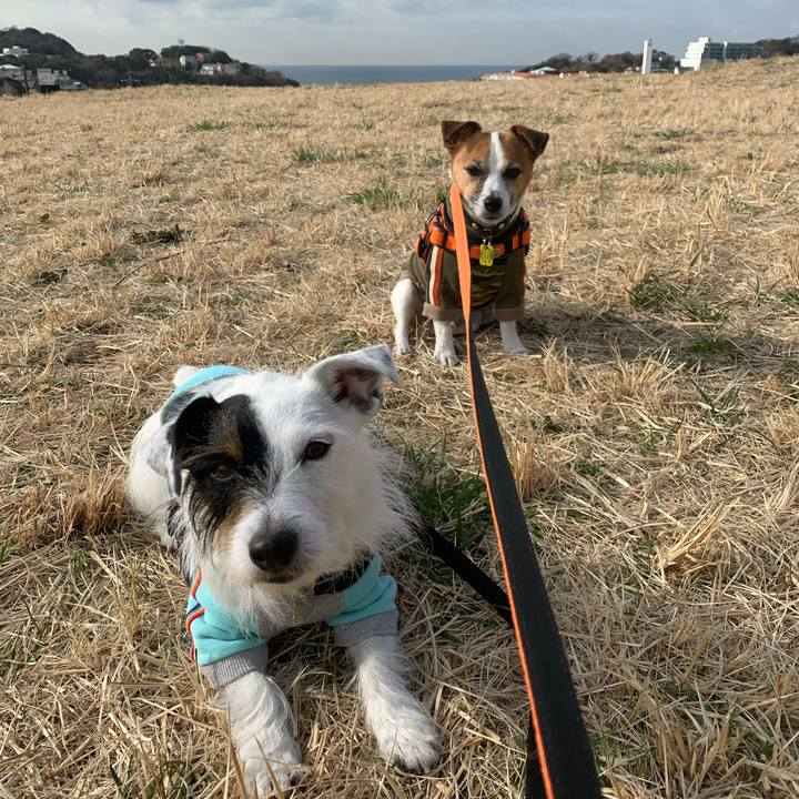 A4f77e99 1f67 4f4d 851c b77a13140cf0 1582160620461