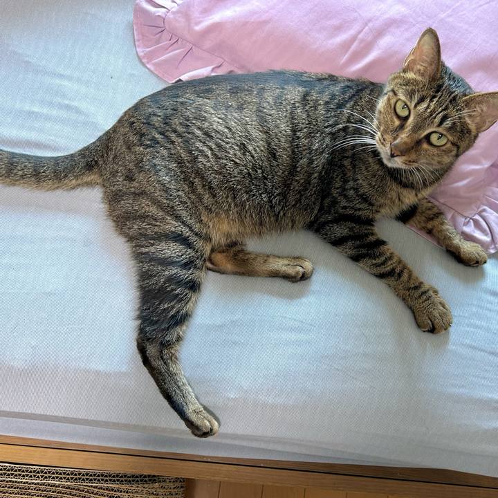 A4f786ce ef8a 48a7 8322 dedc9993c66c 1752830194598