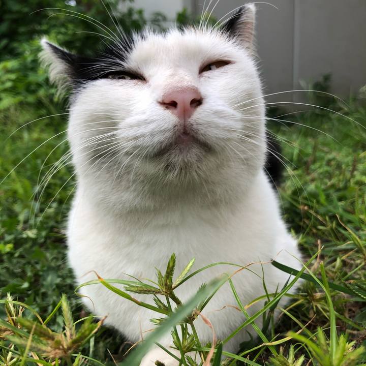 A4f78fe7 bedc 4248 ad38 23fcfa701c71 1599085505571