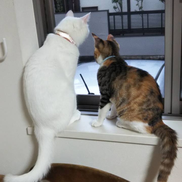 A4f7993e 7ef1 4e5b 88bf 38dd6ca86234 1628977915191