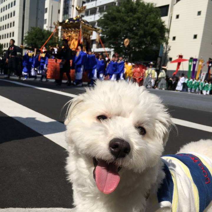 A4f7a80f a579 46b5 8baf 0ee2f6a6d0dd 1557553118418