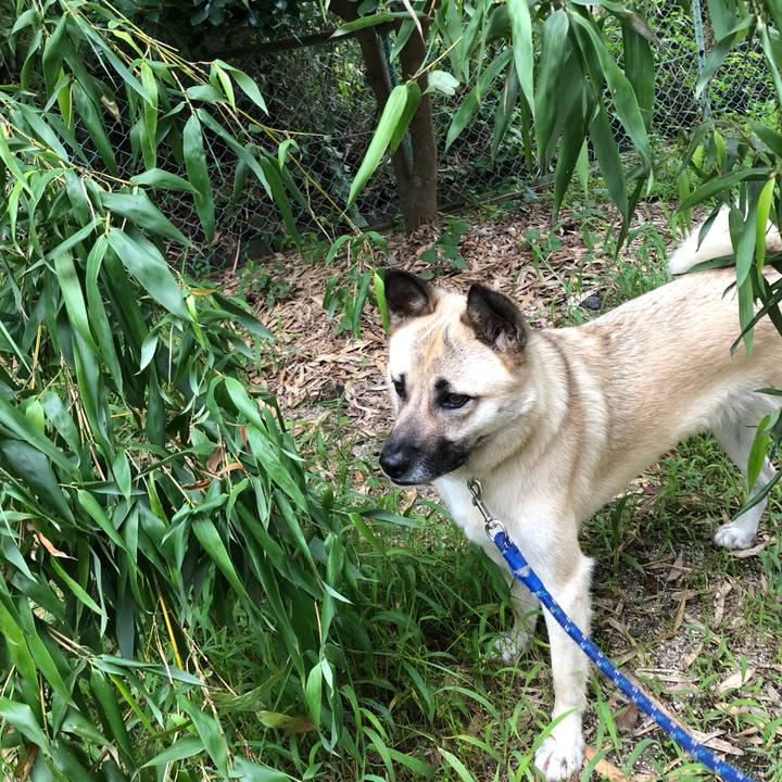 A4f7bb38 7c50 4a96 af77 10c4d6b609b3 1530959337992