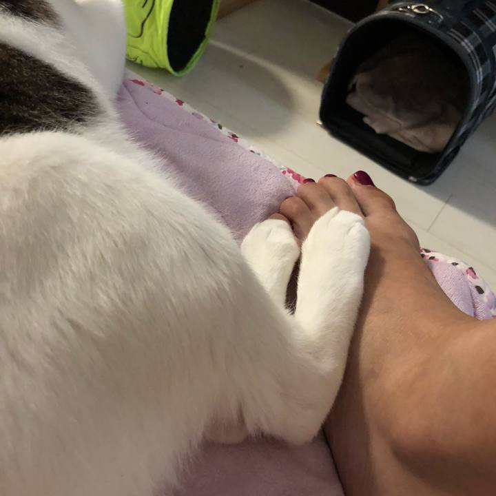 A4f7c985 a9c9 4227 8dc3 871e28ae1cfb 1537591189728