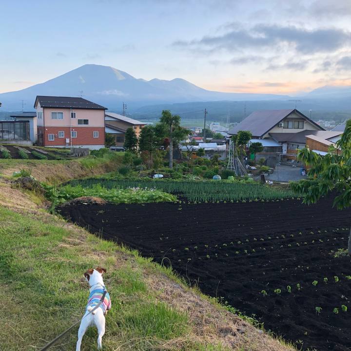 A4f84bf7 a7dd 494d 8801 e94725c948ed 1527848279333