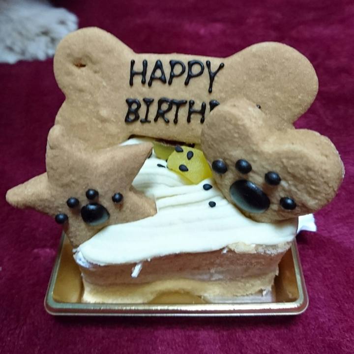 A4f85b14 d37c 46c7 b429 22963da4cc52 1513855267288