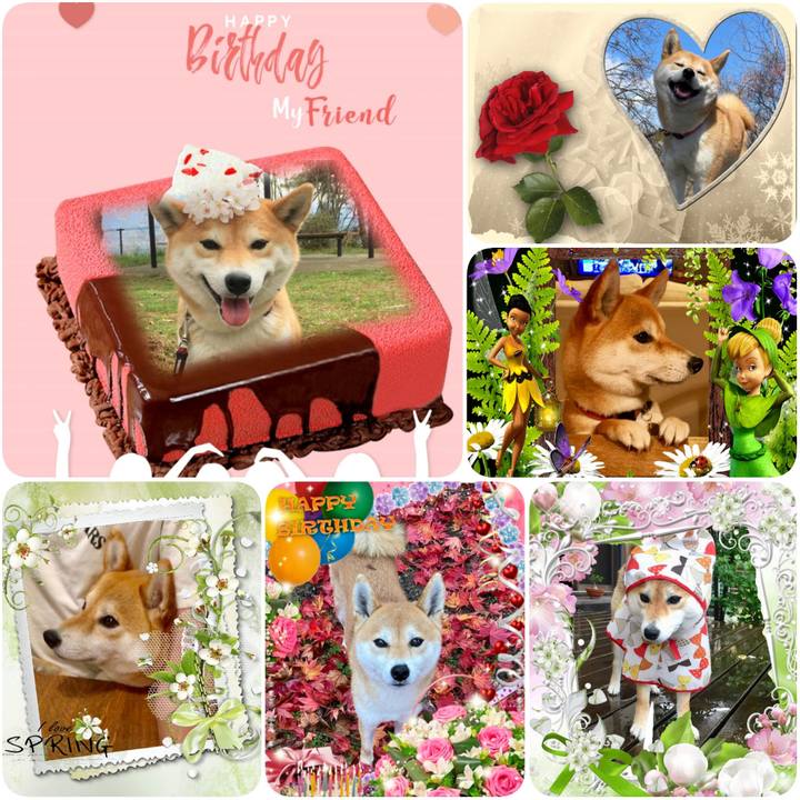 A4f85c41 084b 40d7 9fca 2042de2f1eec 1616692206584