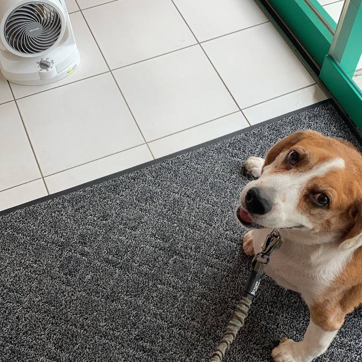 A4f8853f e5a5 4eff 9787 5e4a3ebe891c 1752540417585