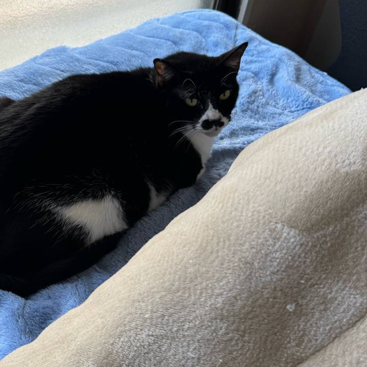 A4f89138 bd29 4319 8bf8 dff27105137c 1761696819397