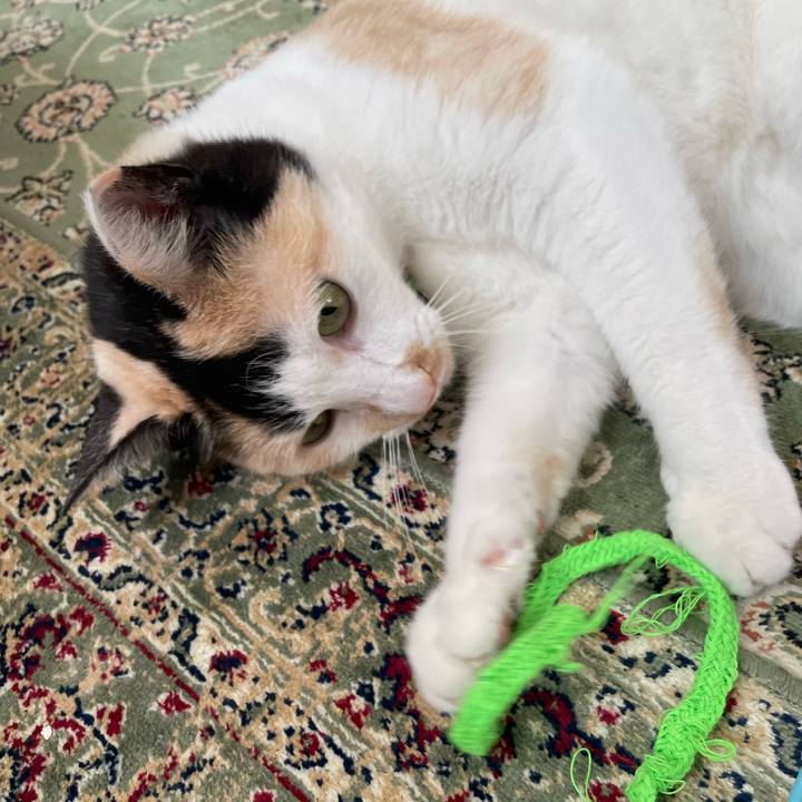 A4f89337 0668 4a46 ad96 d66ae46ee2de 1714778258086