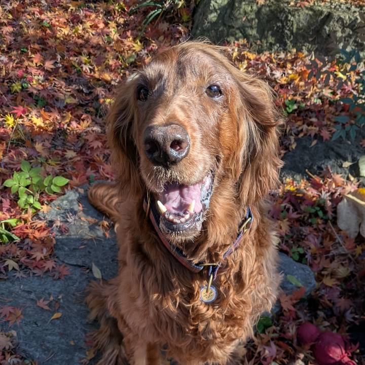 A4f8b3d6 1ffe 4764 8339 f3d82216cd28 1764380395044