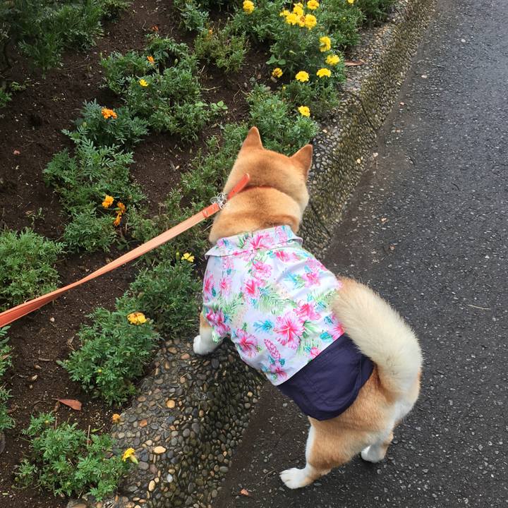 A4f8c1ea d2c2 4fd9 829f a226389fb45e 1563189551250