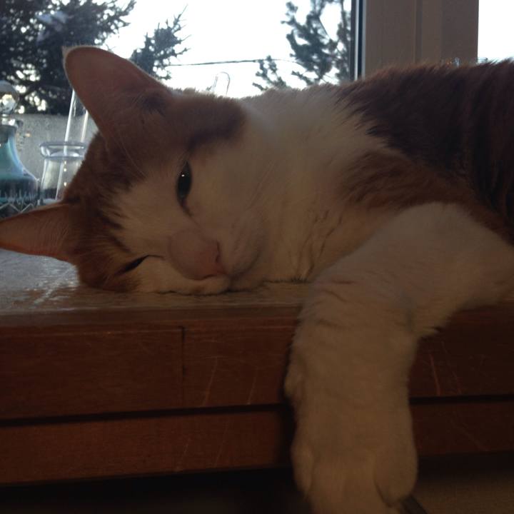 A4f8f295 7428 403e b96b d95239e09b18 1512769863481