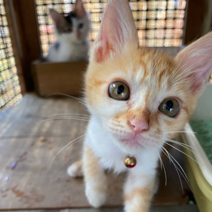 A4f91be5 62c9 43c2 b364 d72674706e33 1630372615176