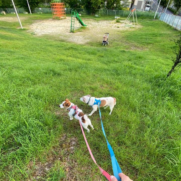 A4f95833 db0b 41ef bb09 99db79d0a748 1721292844314