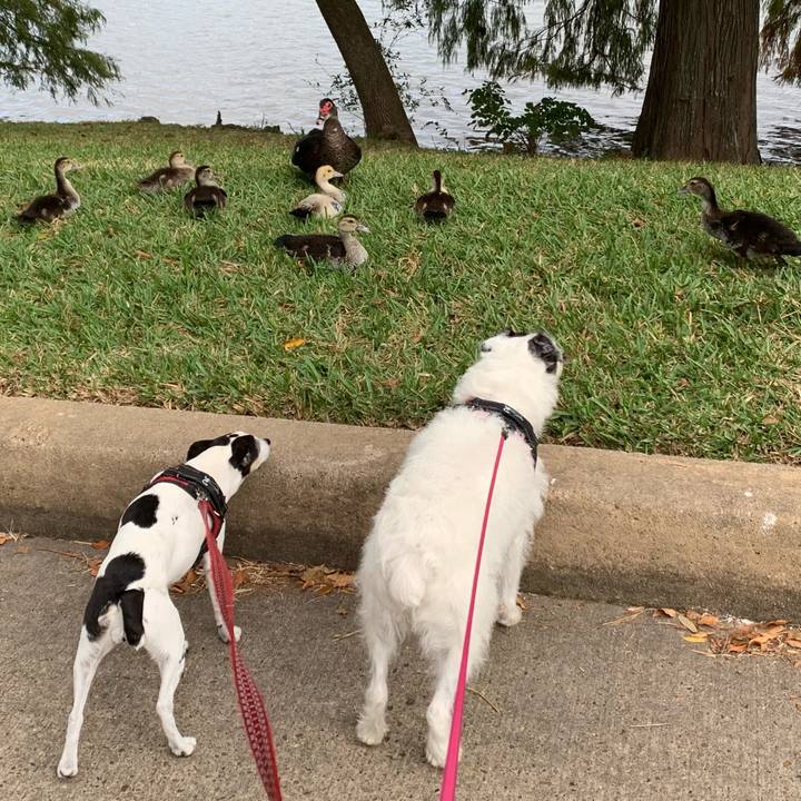 A4f95f5e ea5f 46ee aad7 44a579d43d32 1605131859212