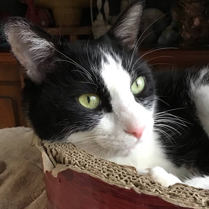 A4f9c8cb e067 42e7 9b4f f6166ca62702 1753522981544