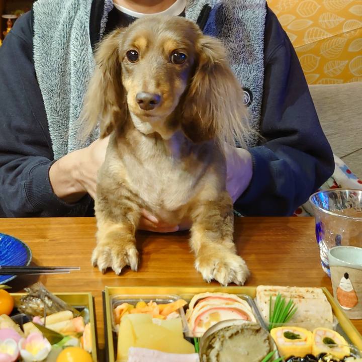 A4f9ca15 1795 44b2 a570 20e201ffc5a1 1641305242409