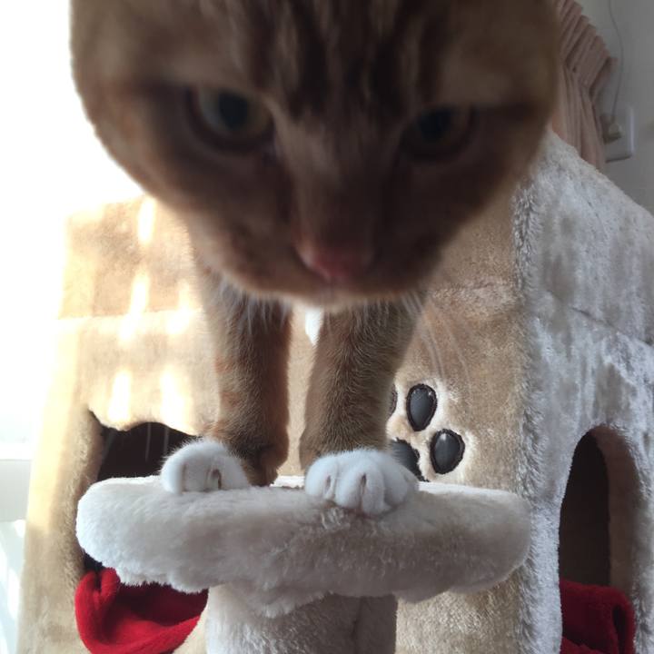 A4f9d771 2705 49a5 9988 9afedc90153a 1551225561333