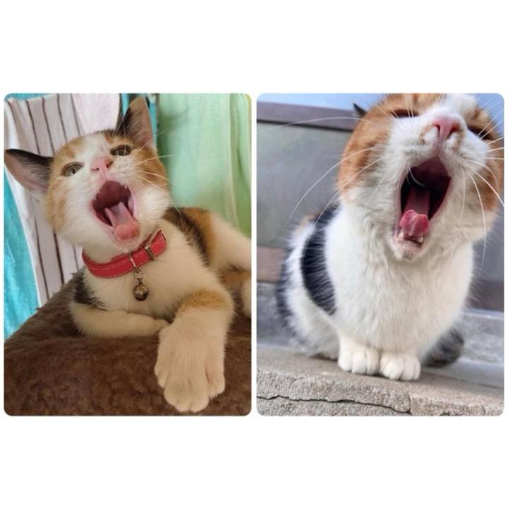 A4fa40c3 7498 45bf a39c f61b56023ec6 1711112662300