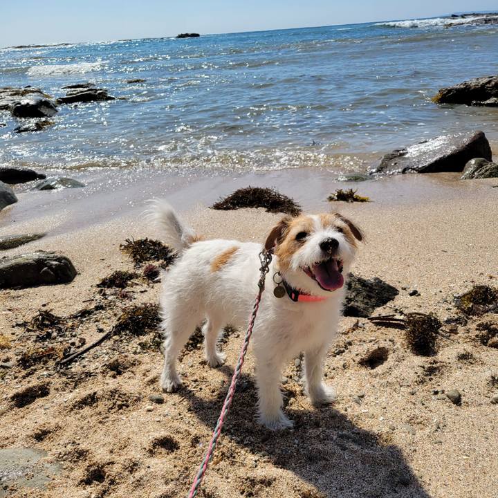 A4fa69a4 b336 4bca a4a8 b231562082f3 1697234338495