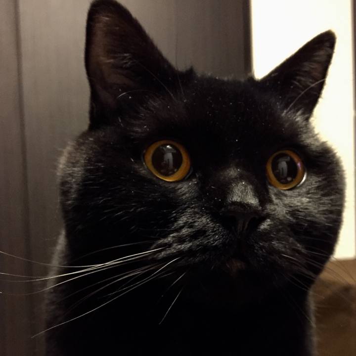 A4fa7114 940e 499f 82a3 ac35644ac9b8 1518782671149