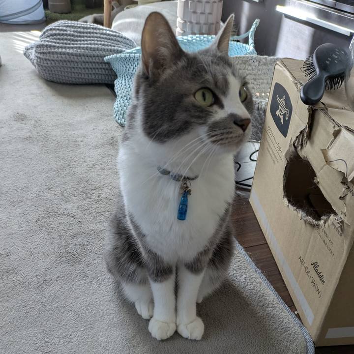 A4fa872f d170 41a2 b322 46359380e09b 1767665677790