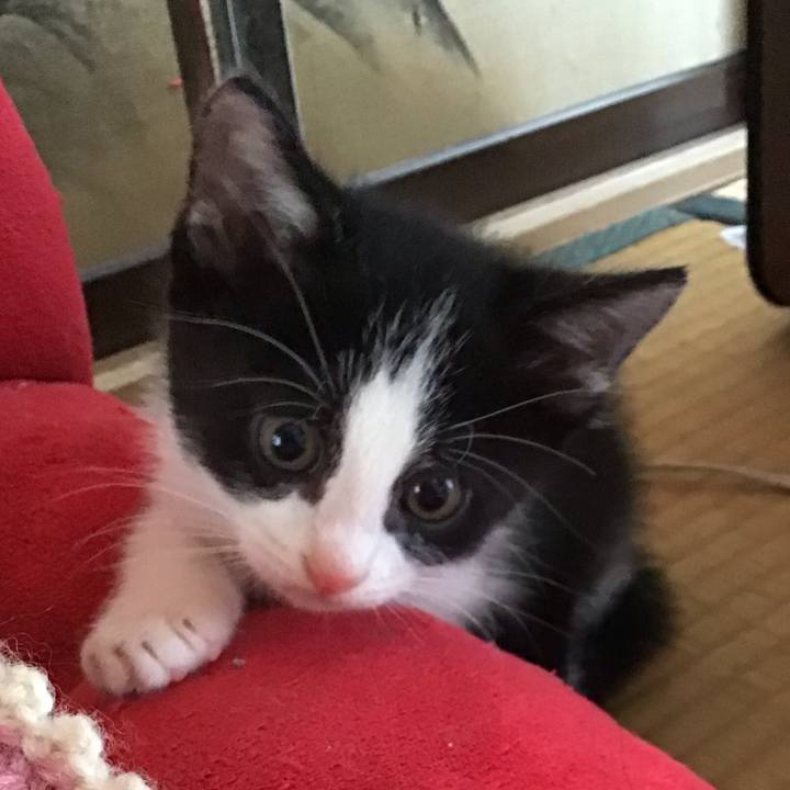 A4fa931f 70ef 4339 969f a1609ee8da63 1623639405491