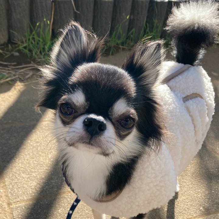 A4fad772 01b4 4267 906a 7ffb8a274c18 1639892327900