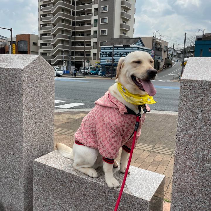 A4fafca3 4a3b 4c71 98d3 9441c2c0fbf1 1648646675402