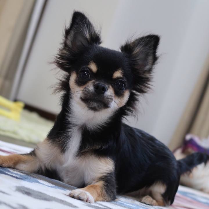 A4fb10bd ec52 45b3 a3ee 5d7f99a5dfd3 1544134371806