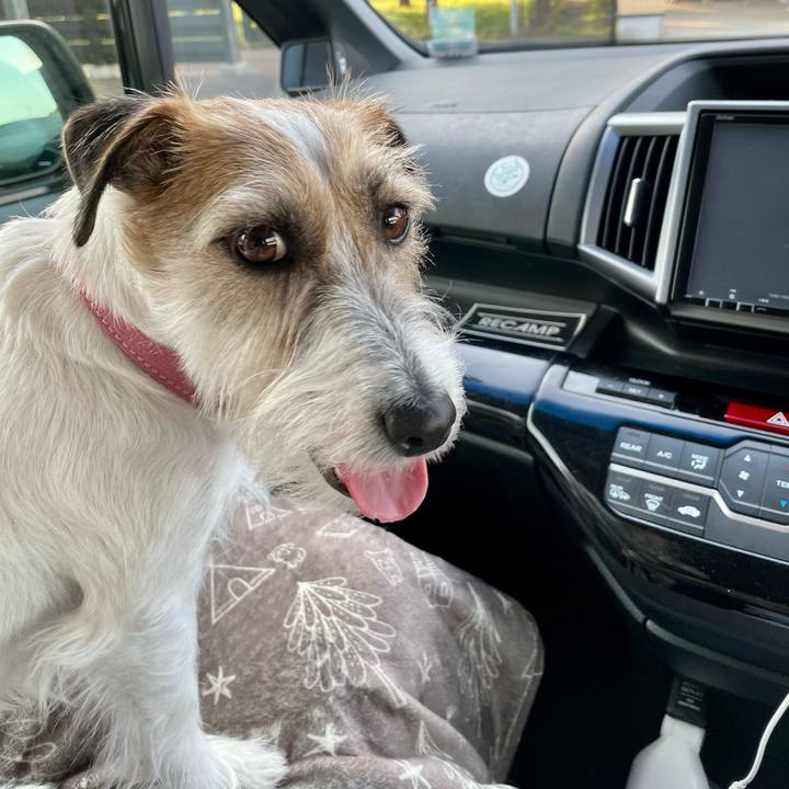 A4fb3278 7e16 4611 9dbe 699649f48216 1682935044190