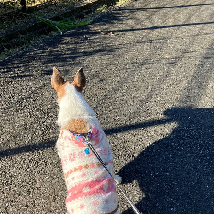 A4fbaaf4 130f 41ef a84f a0fe8c875524 1700609023170