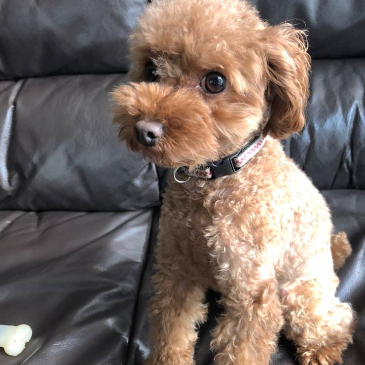 A4fbc814 23fe 4bb3 94bd 15adbd9464b9 1544920148658