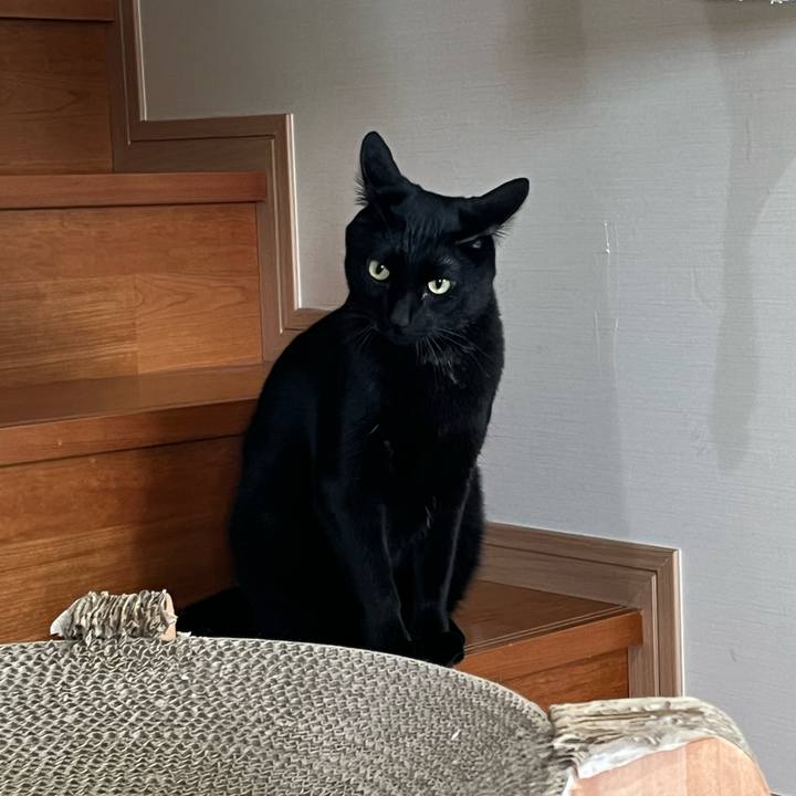 A4fbea87 86e8 4786 a3ad a27d98d99b34 1684212320924