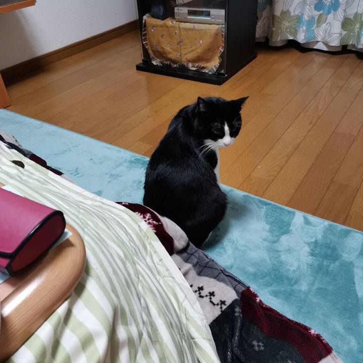 A4fc1cf8 9331 4e79 a54b ac3917b6dfa2 1703479031367