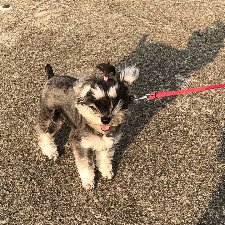 A4fc76ed 82b3 480f 81a1 da76a650cde4 1529574833580