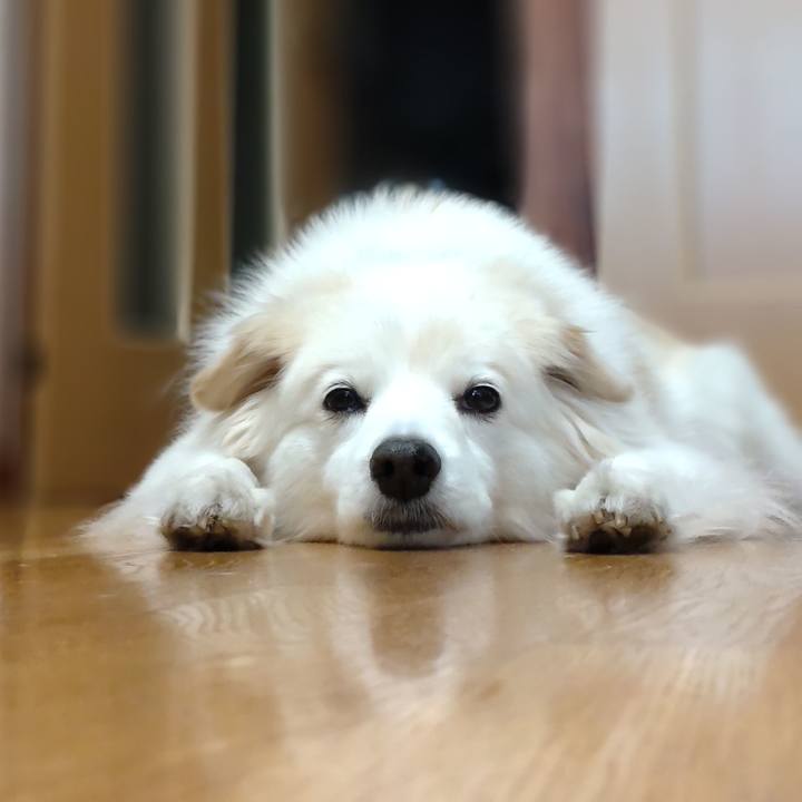 A4fc7c89 3baf 49a8 8cea 4cc3239fe501 1647164670006