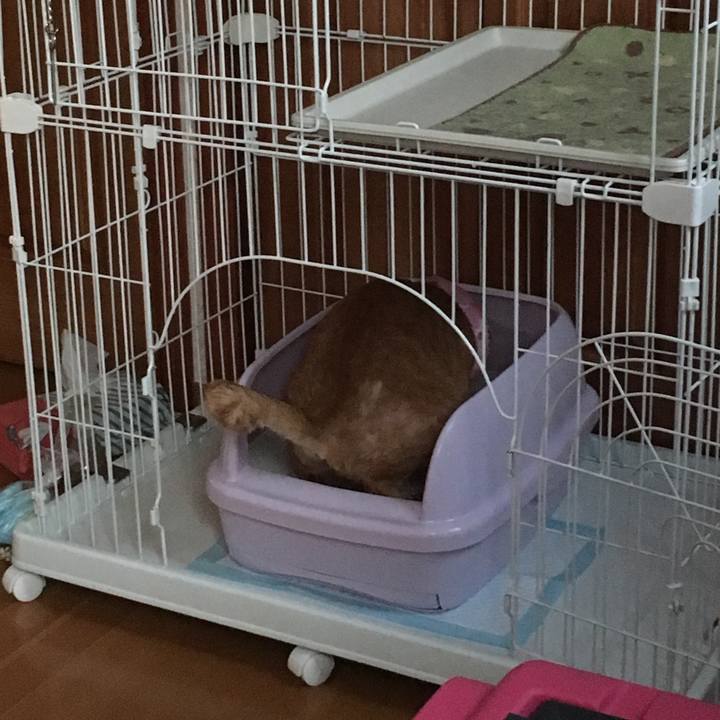 A4fcb699 5a61 41ec b795 e28116090a70 1533588854215