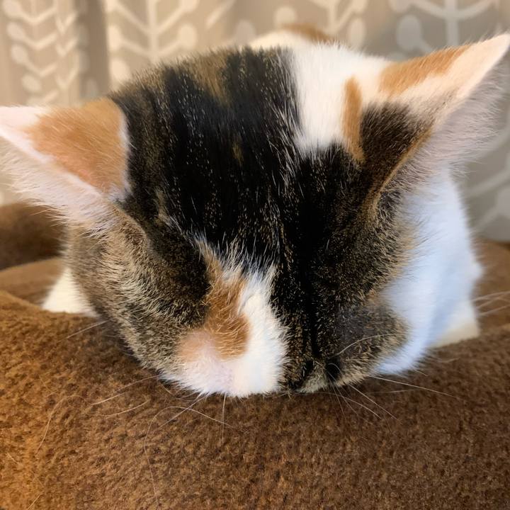 A4fcb7b0 dcf1 45c6 8fc9 20185e7ee466 1674940663307