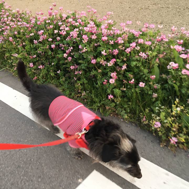 A4fcbfca 0101 4ca4 bd58 298f5991c312 1555972923264