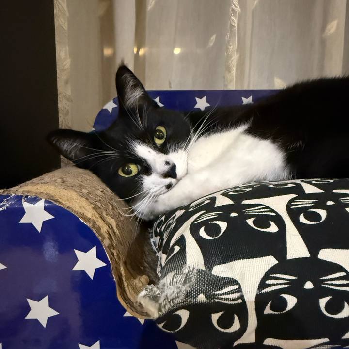 A4fcdd86 d88d 44f1 932a 611015569727 1762683811561