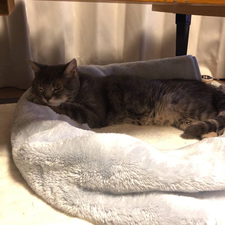 A4fce779 fc4d 4e05 ba6e 89efc3dc18f8 1568468640055